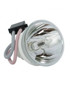 Lampe Seule d'Origine Phoenix (SHP) (#OB0066)