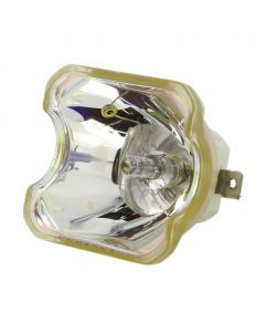 Originele Ushio (NSHA) Losse Lamp (#OB0440)