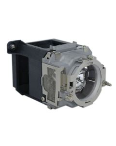 QL0077_1.jpg