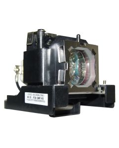 QL0241_1.jpg