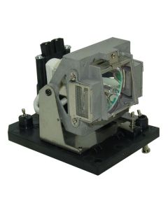 QL0316_1.jpg