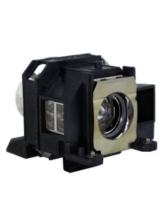 QL0375_1.jpg