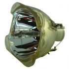 Originele Philips (UHP) Losse Lamp (#OB0024)