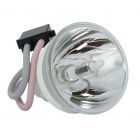 Originele Phoenix (SHP) Losse Lamp (#OB0066)