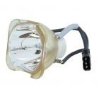 Original Ushio (NSHA) Bulb Only (#OB0091)