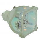 Original Philips (UHP) Nackte Lampe (#OB0097)