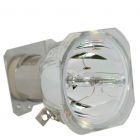 Original Phoenix (SHP) Bulb Only (#OB0117)