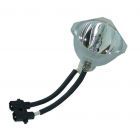Original Phoenix (SHP) Nackte Lampe (#OB0162)