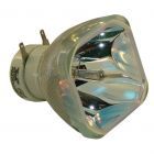 Original  Bulb Only (#OB0238)