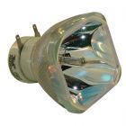 Original Philips (UHP) Nackte Lampe (#OB0255)