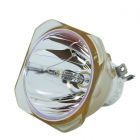 Original Ushio (NSHA) Bulb Only (#OB0415)