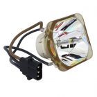 Original Ushio (NSHA) Bulb Only (#OB0430)
